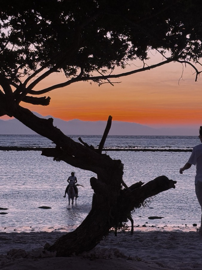 Cavalo na praia de Gili Trawangan ao pôr do sol