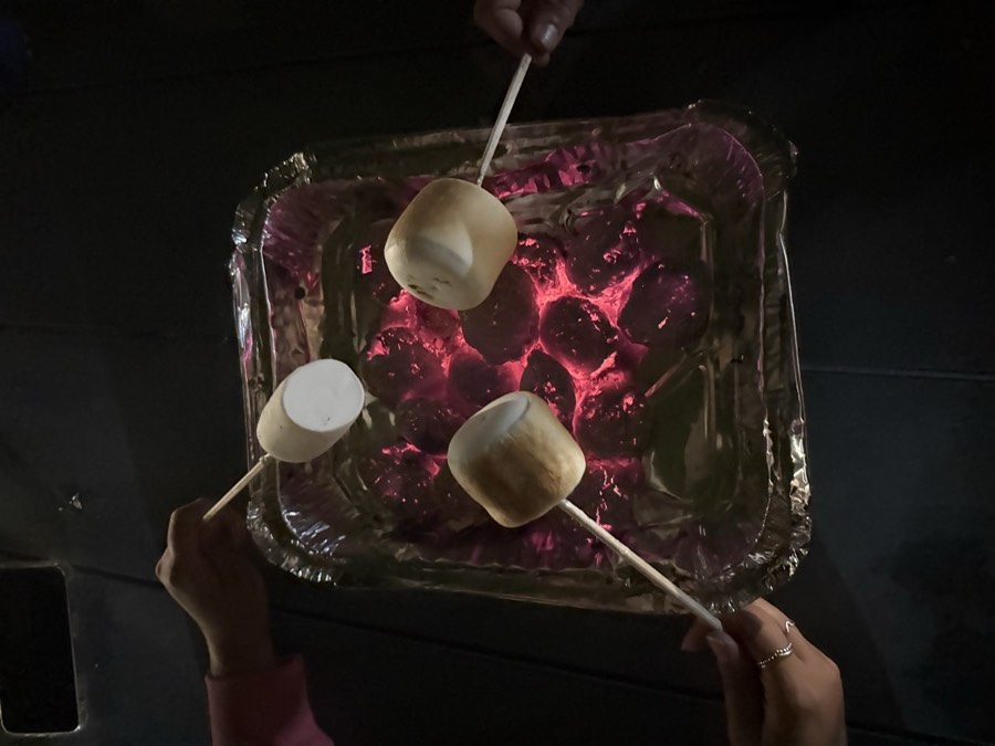 Marshmallows assando na fogueira durante o acampamento
